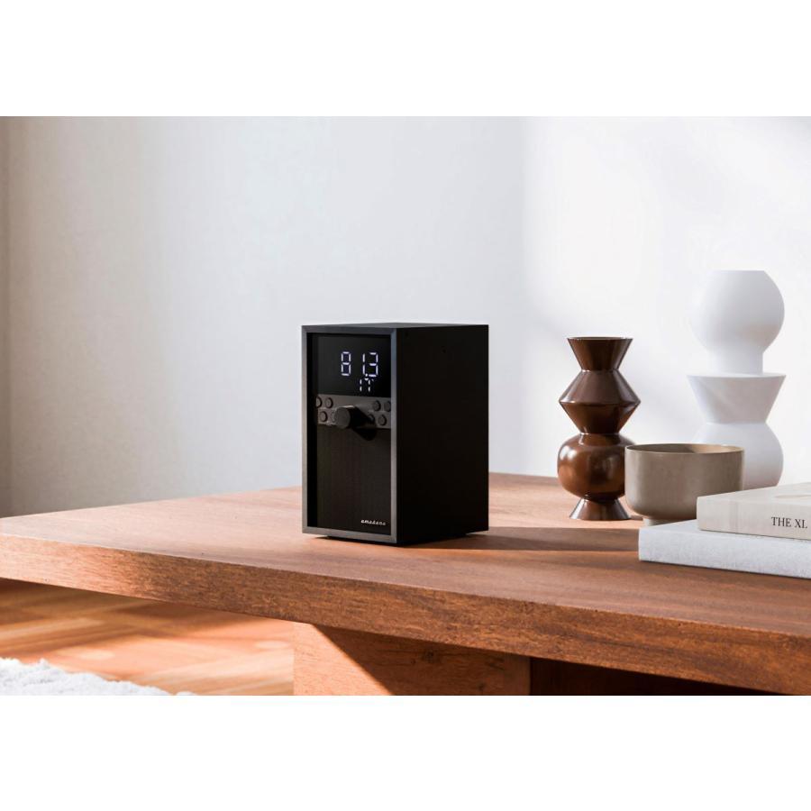 amadana（アマダナ） FM クロックラジオ RC10