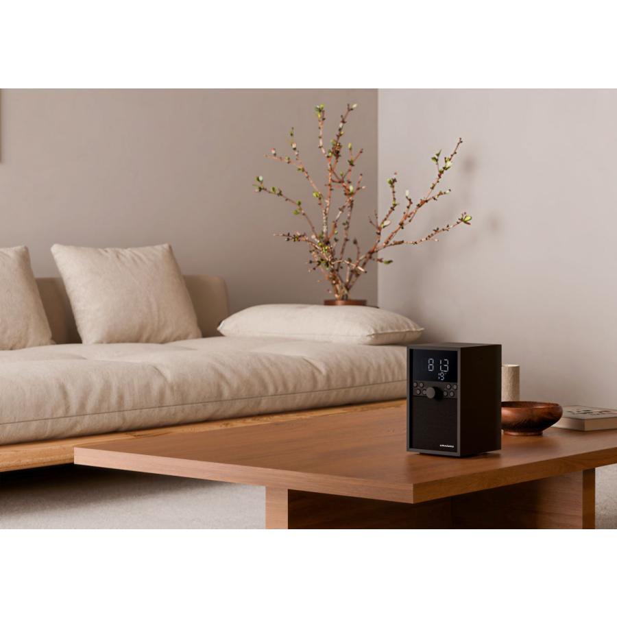 amadana（アマダナ） FM クロックラジオ RC10