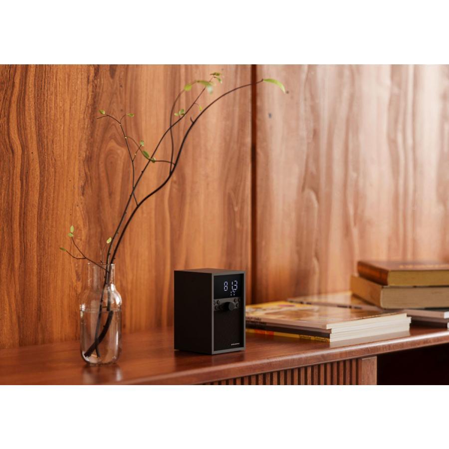 amadana（アマダナ） FM クロックラジオ RC10