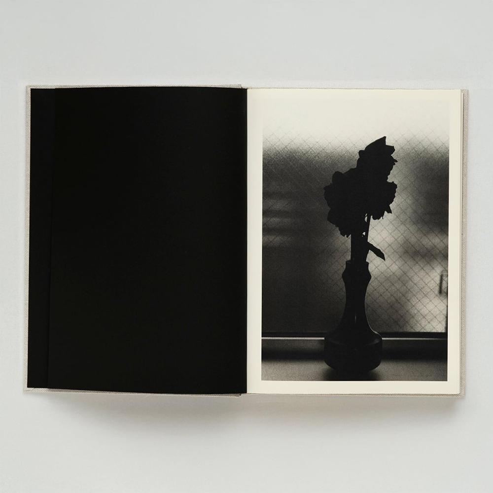 野村佐紀子　Lirio(サイン入）　表紙：SCAR Edition