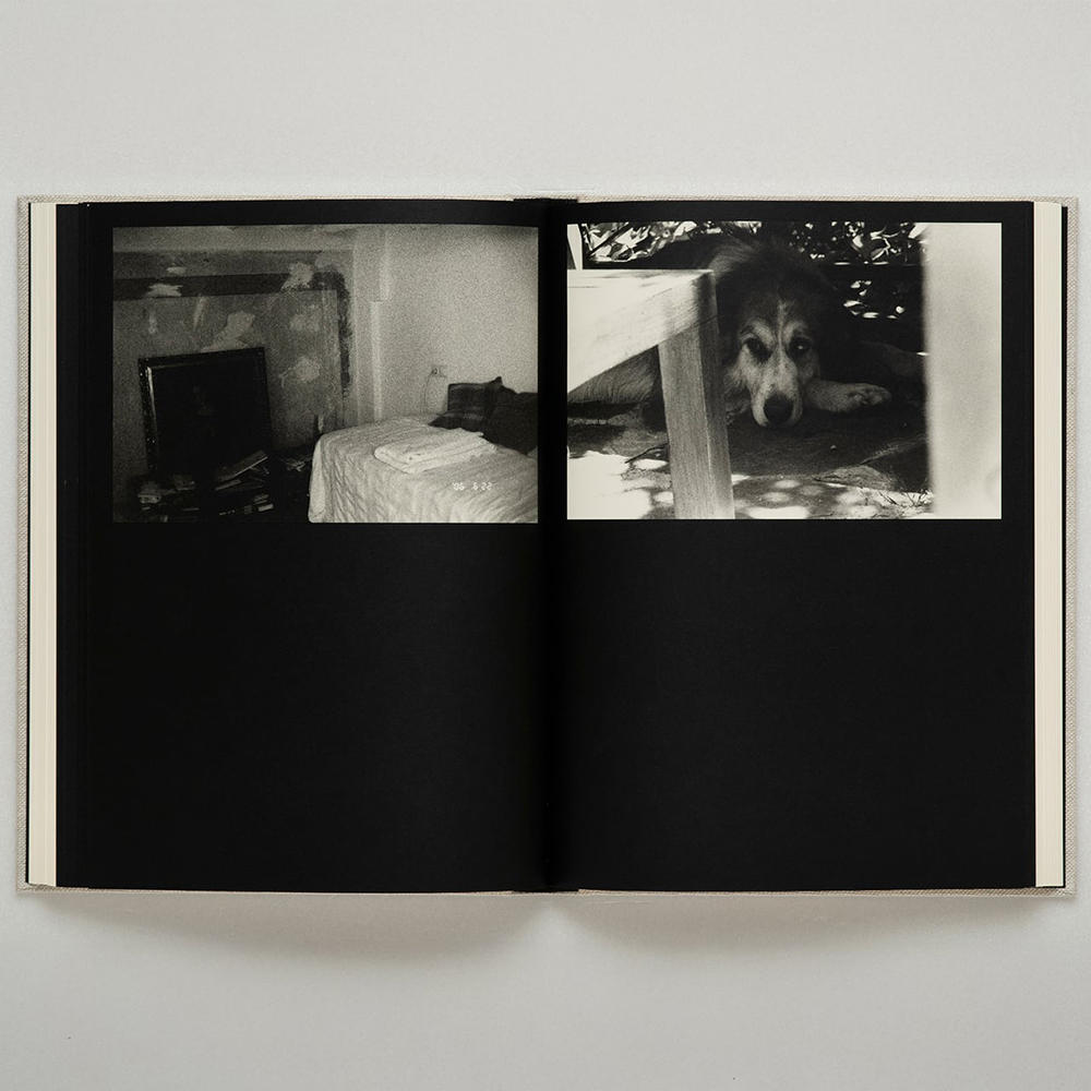 野村佐紀子　Lirio(サイン入）　表紙：SCAR Edition