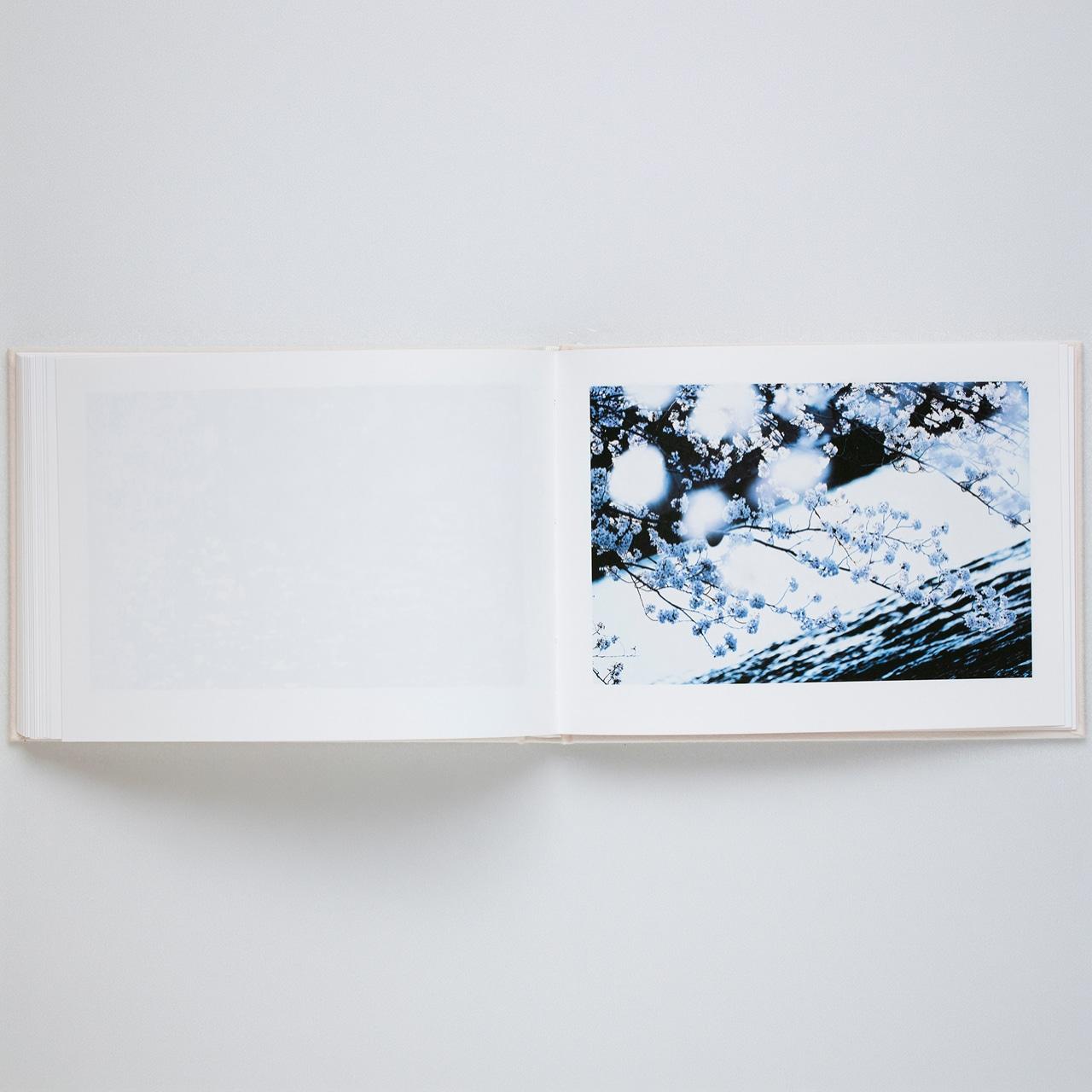 蜷川実花　VIRA（サイン入）