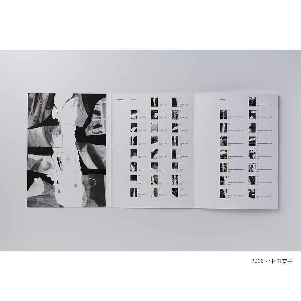 『Paralysis』島内秀幸 写真集