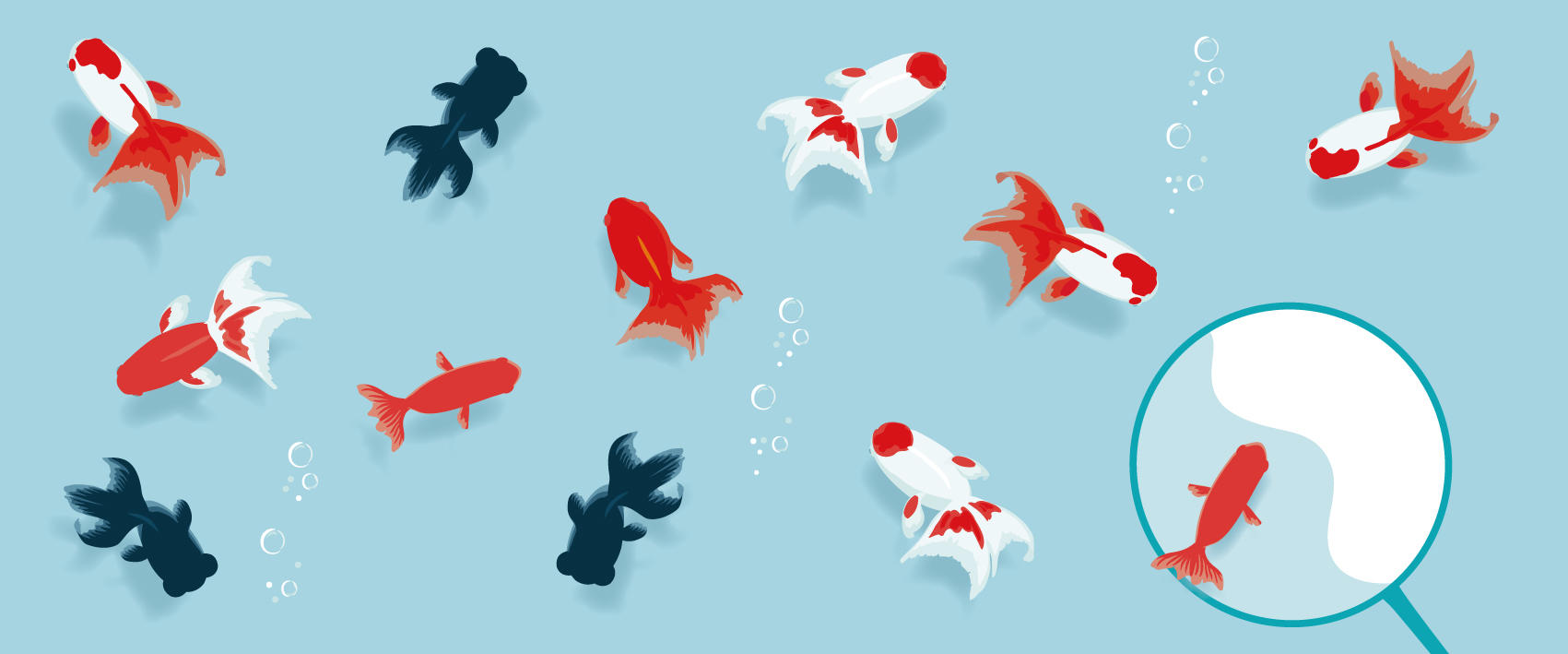 ふみふうせん　金魚