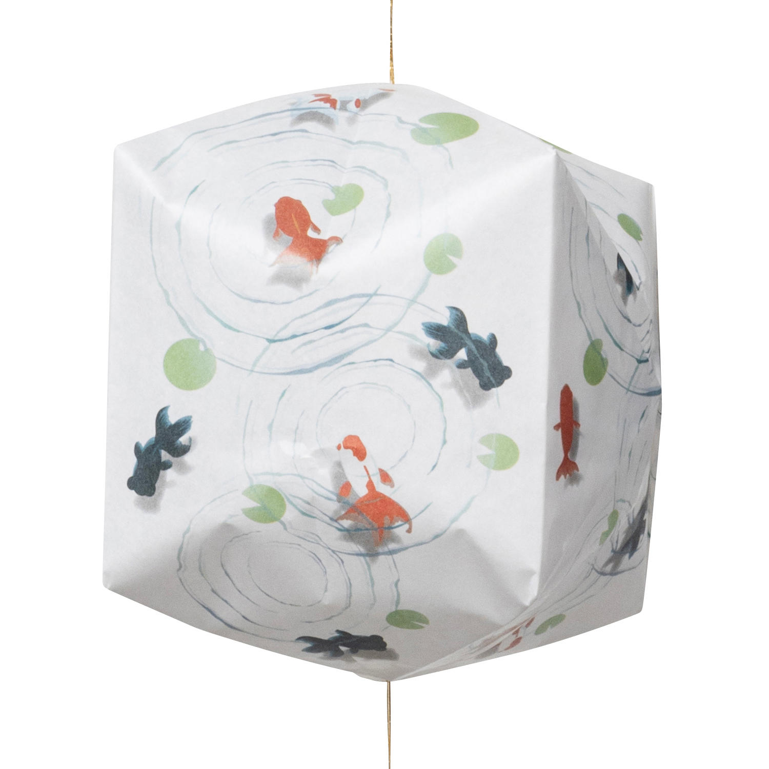 ふみふうせん　金魚