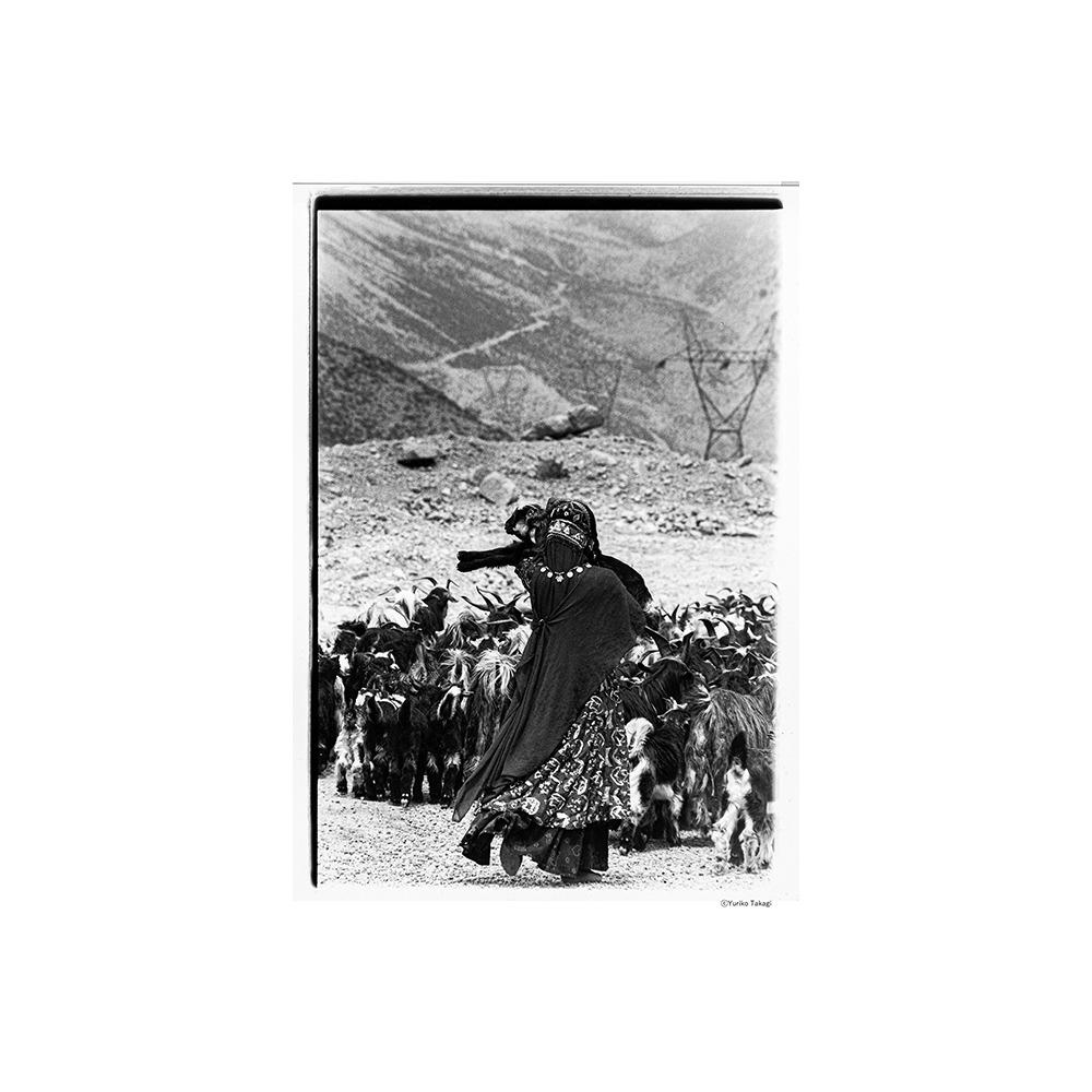 『Threads of Beauty 1995-2025 ―時をまとい、風をまとう。』 高木由利子 写真集