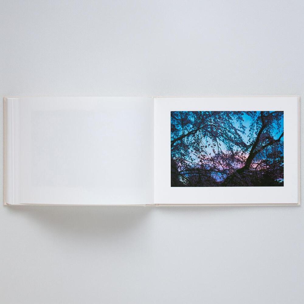 【表紙の選択可】VIRA by 蜷川実花（Mika Ninagawa） 写真集