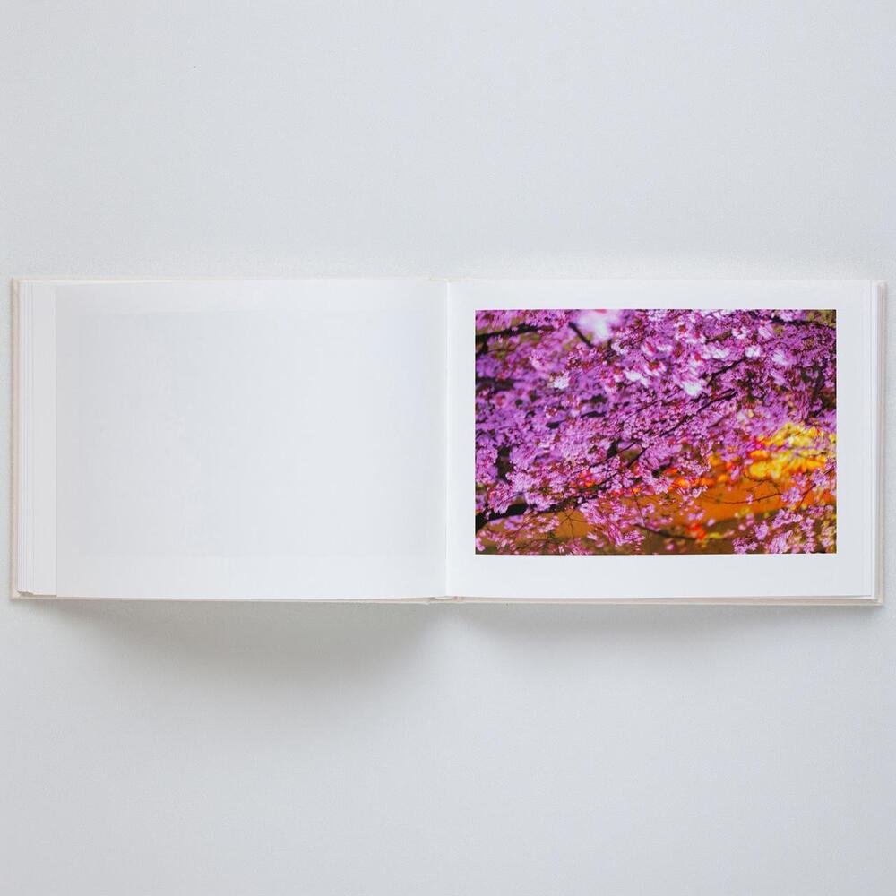 【表紙の選択可】VIRA by 蜷川実花（Mika Ninagawa） 写真集