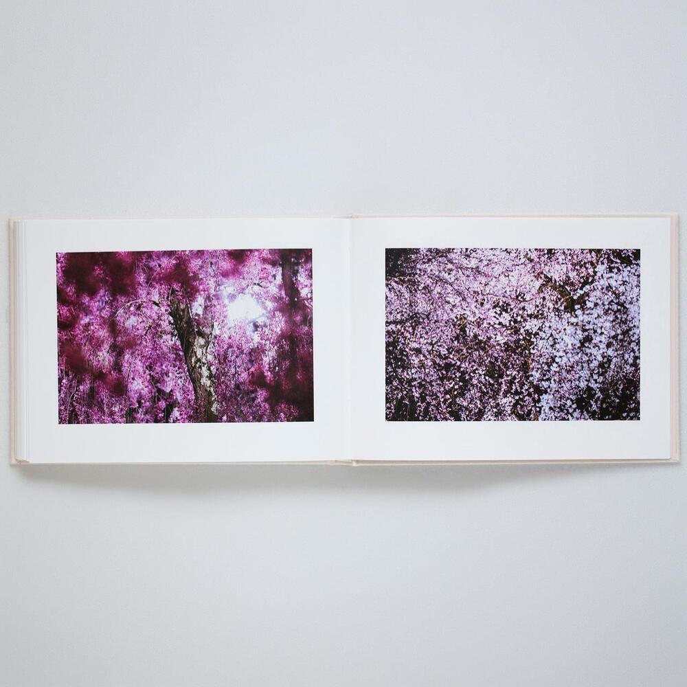 【表紙の選択可】VIRA by 蜷川実花（Mika Ninagawa） 写真集