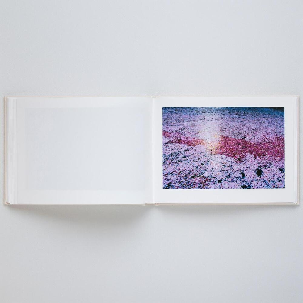 【表紙の選択可】VIRA by 蜷川実花（Mika Ninagawa） 写真集