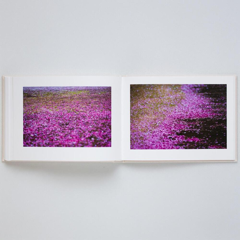 【表紙の選択可】VIRA by 蜷川実花（Mika Ninagawa） 写真集