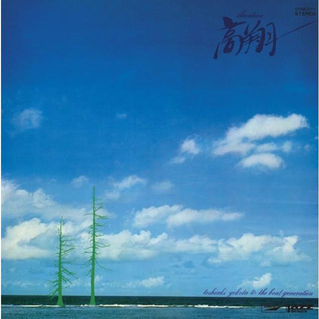 高翔 横田年昭 アナログ