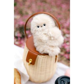 mirumi_Ivory_ちら見するチャームロボット「みるみ」アイボリー