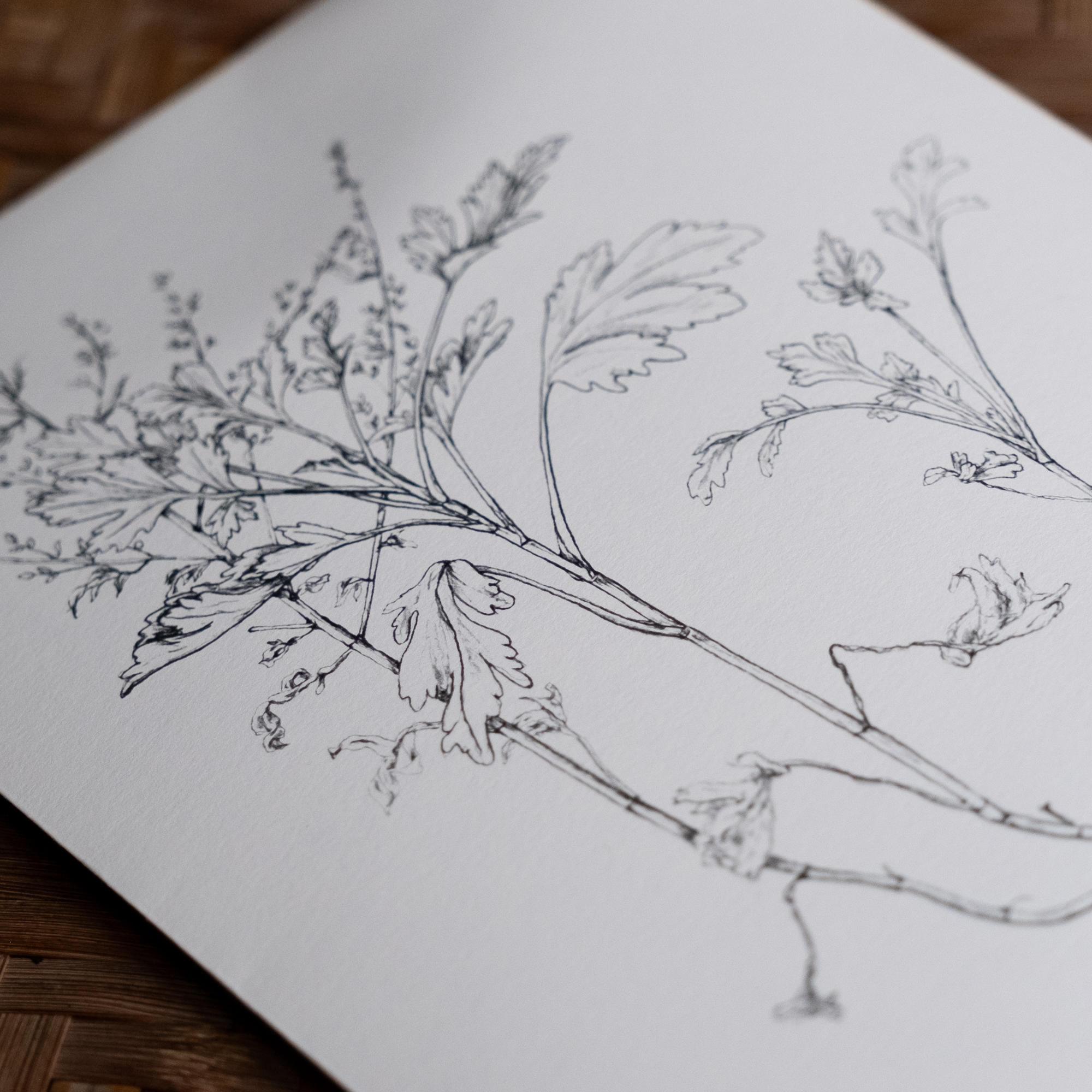 摘み草茶　よもぎ　tretre