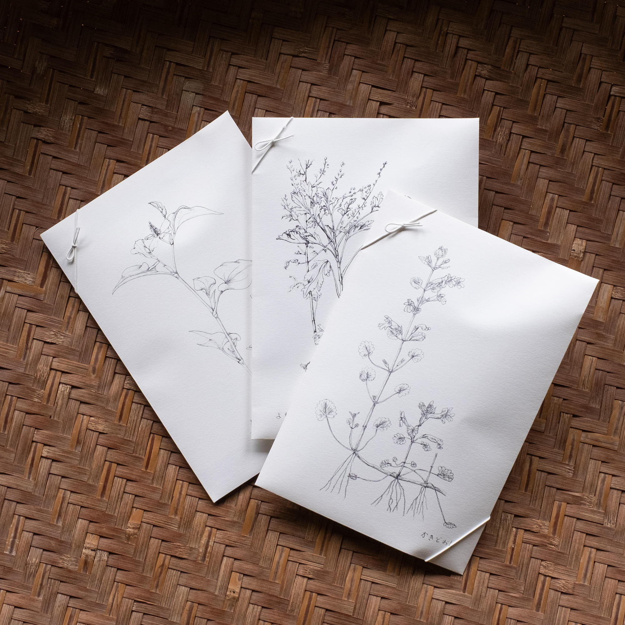 摘み草茶　かきどおし　tretre