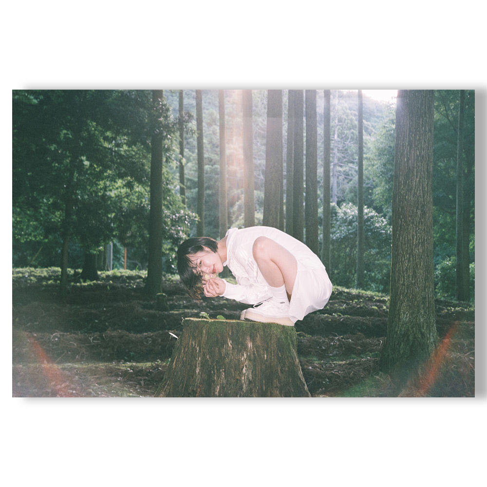 pegasus 02 あの × 松岡一哲 写真集