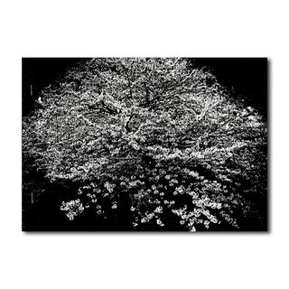 【限定350部／サイン&ナンバー入】 FLOWERS　森山大道写真集