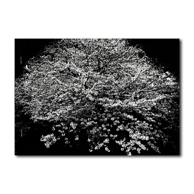 【限定350部／サイン&ナンバー入】 FLOWERS　森山大道写真集