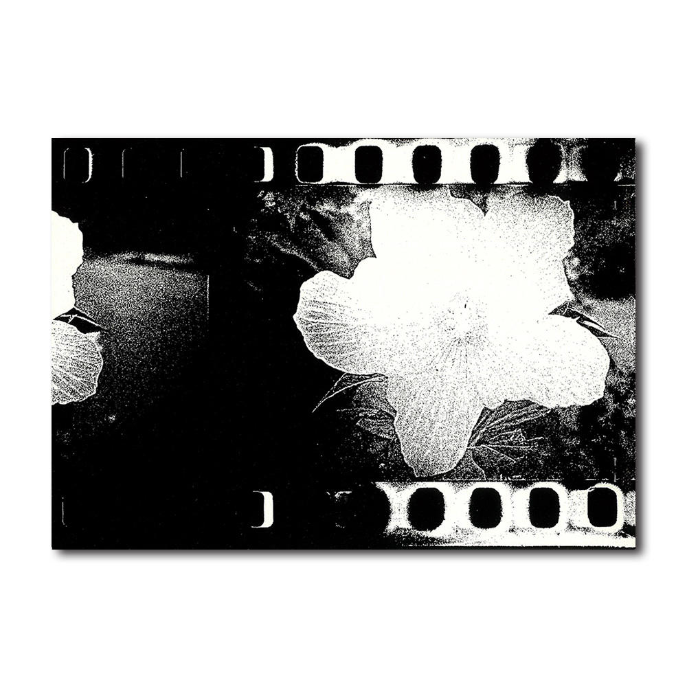 【限定350部／サイン&ナンバー入】 FLOWERS　森山大道写真集