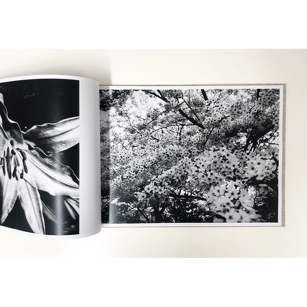 【限定350部／サイン&ナンバー入】 FLOWERS　森山大道写真集