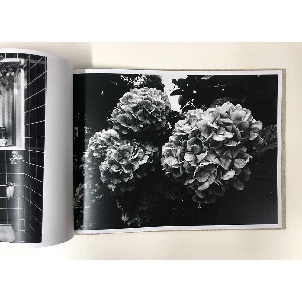 【限定350部／サイン&ナンバー入】 FLOWERS　森山大道写真集