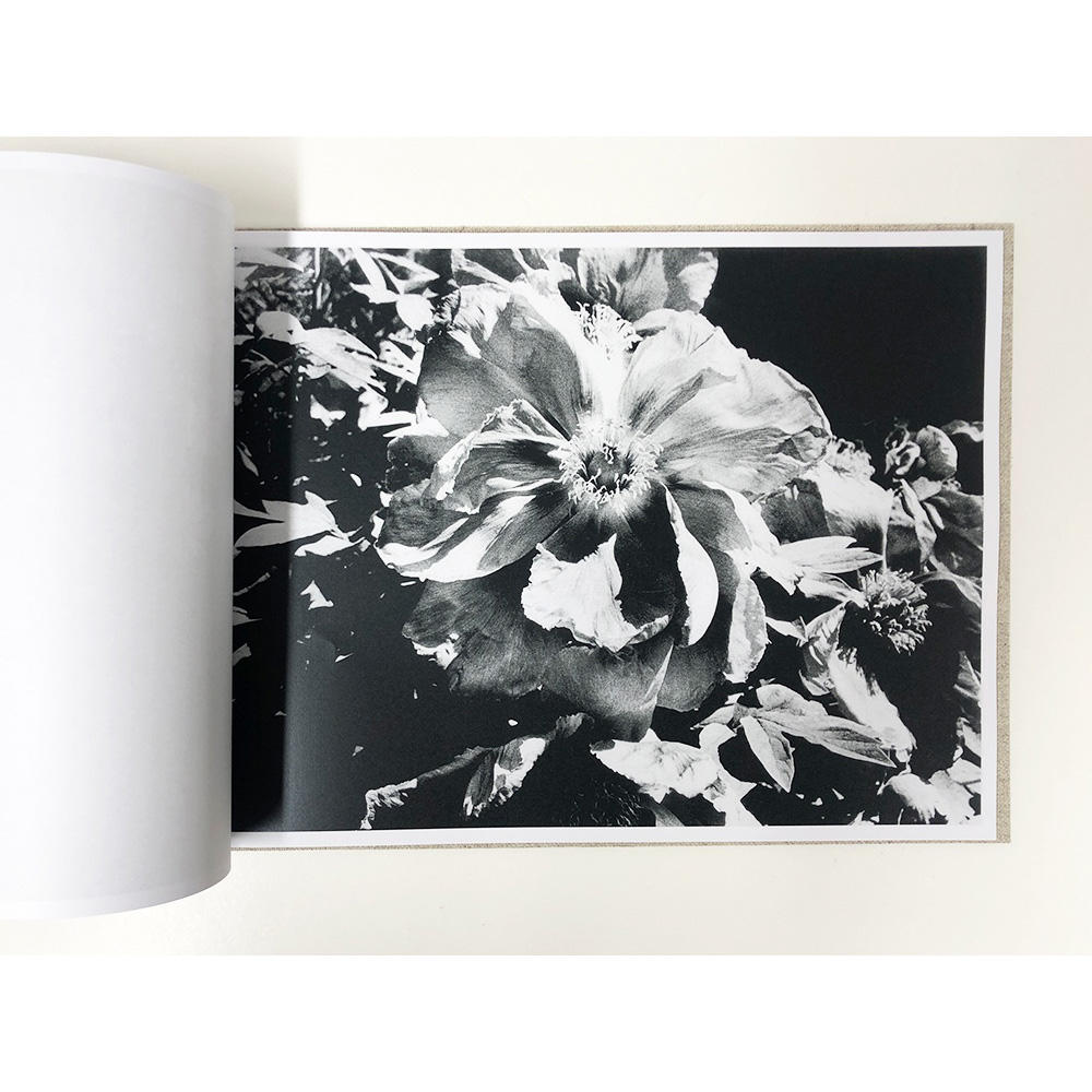【限定350部／サイン&ナンバー入】 FLOWERS　森山大道写真集