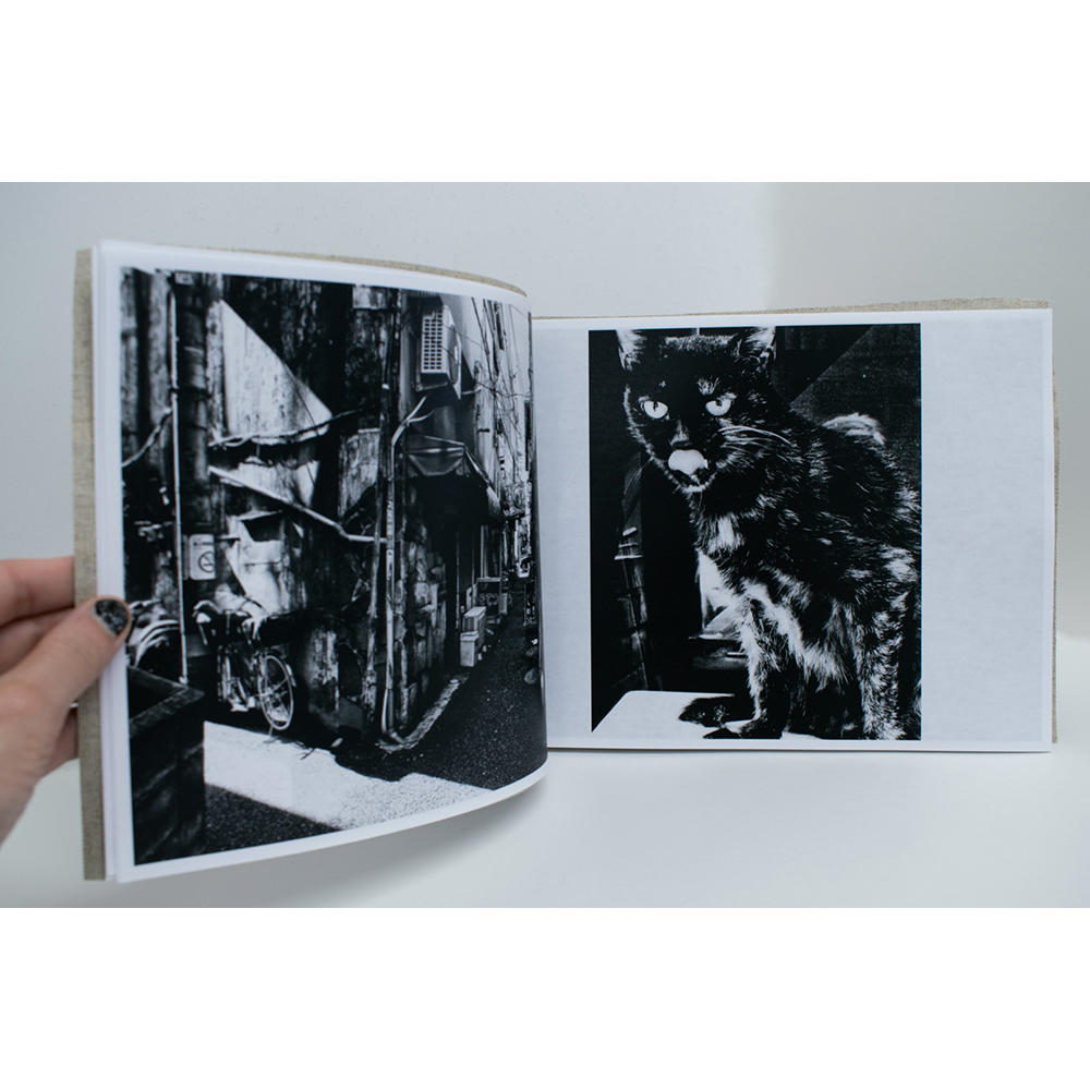 【限定350部／サイン&ナンバー入】 Stray Cats　森山大道写真集