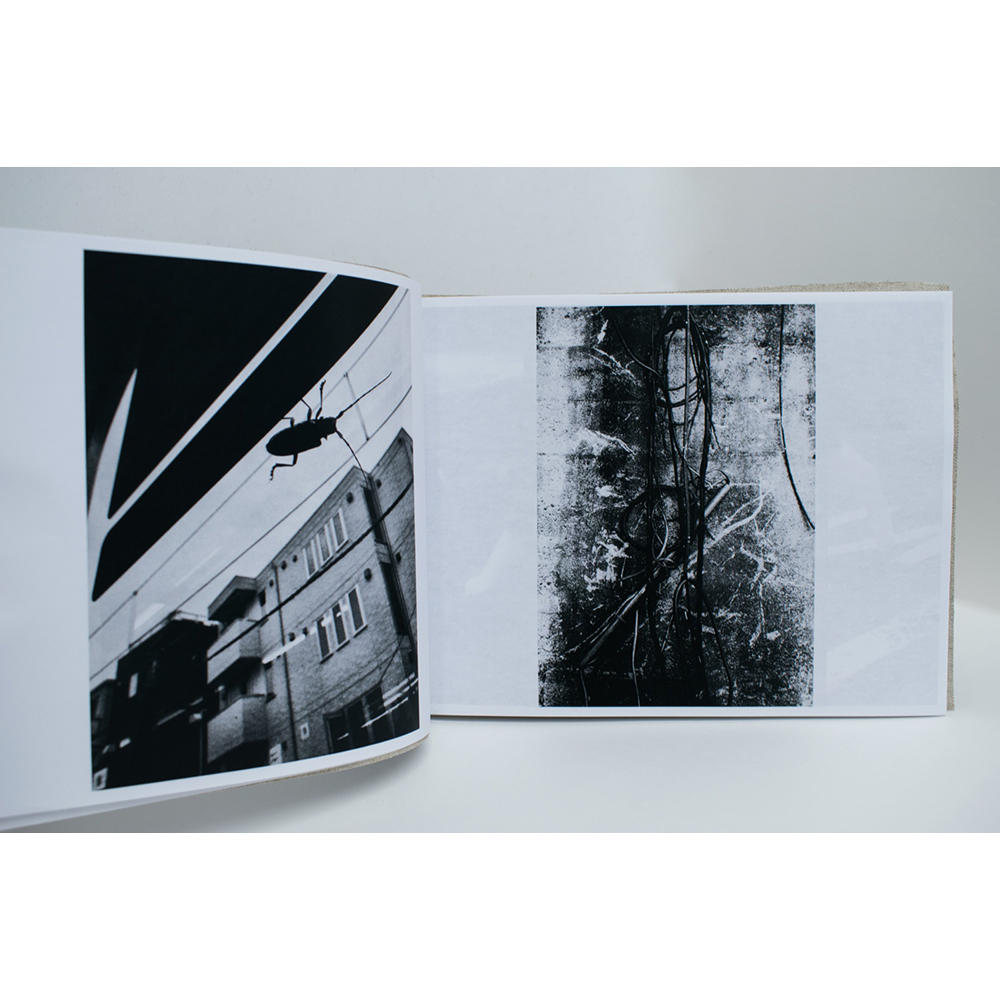 【限定350部／サイン&ナンバー入】 Stray Cats　森山大道写真集