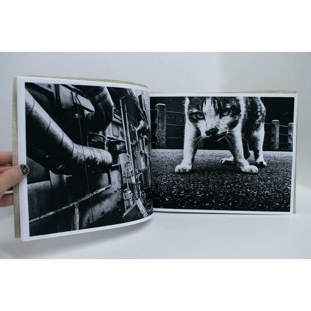 【限定350部／サイン&ナンバー入】 Stray Cats　森山大道写真集