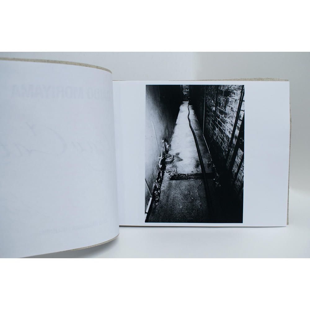 【限定350部／サイン&ナンバー入】 Stray Cats　森山大道写真集