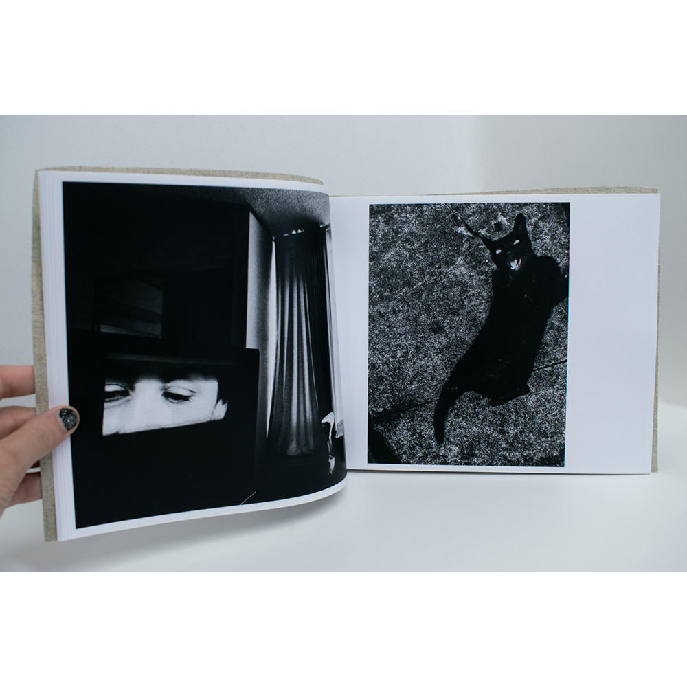 【限定350部／サイン&ナンバー入】 Stray Cats　森山大道写真集