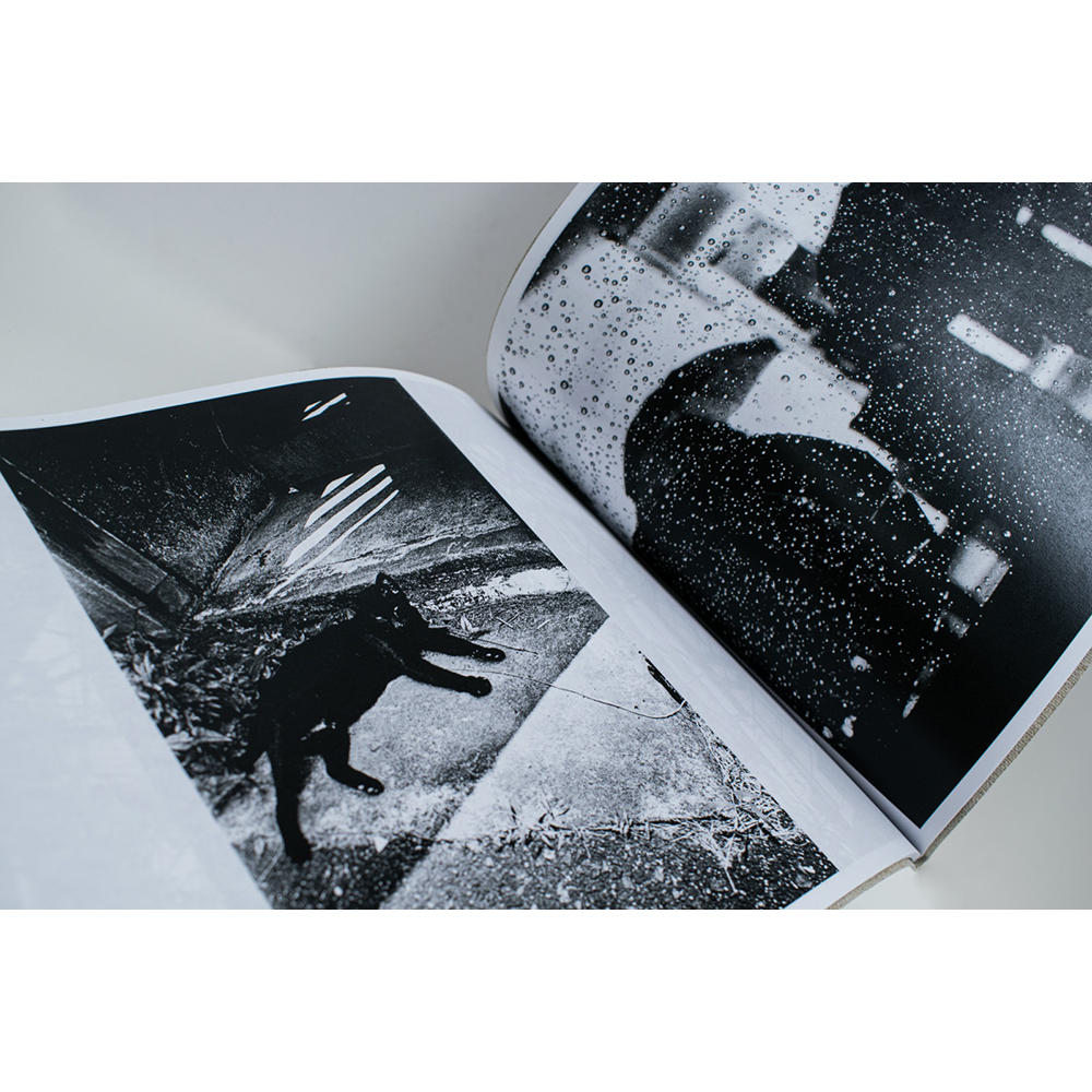 【限定350部／サイン&ナンバー入】 Stray Cats　森山大道写真集