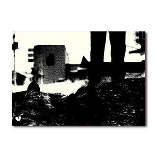 【限定350部／サイン&ナンバー入】 Stray Cats　森山大道写真集