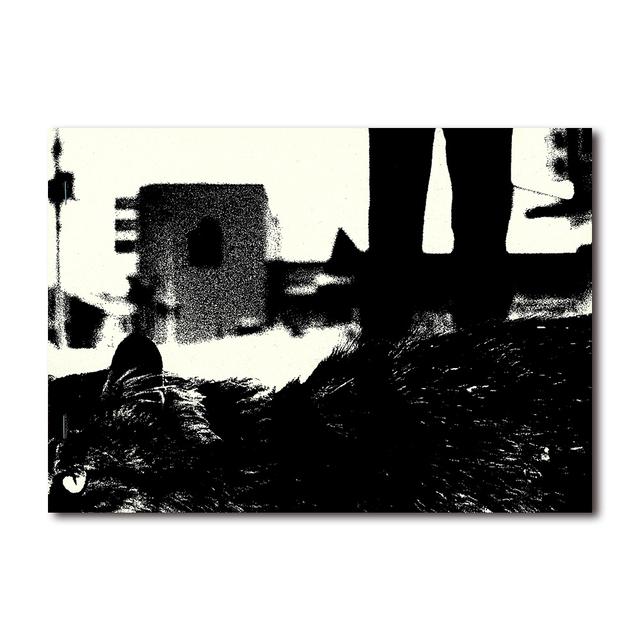 【限定350部／サイン&ナンバー入】 Stray Cats　森山大道写真集