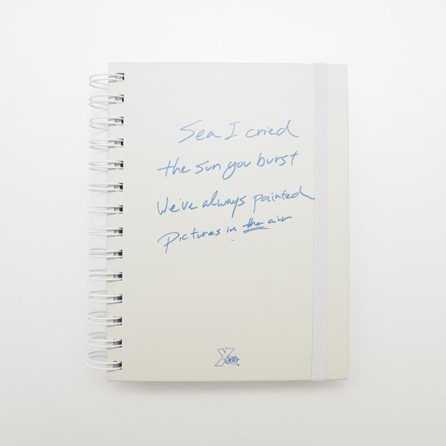 Yoo Megane Logo Note