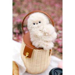 mirumi ミルミ ”ちら見”するチャームロボット Ivory アイボリー