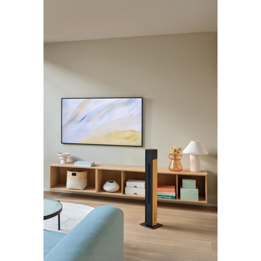 Stadler Form(スタドラフォーム) Nick タワーファン DCモーター ブラック