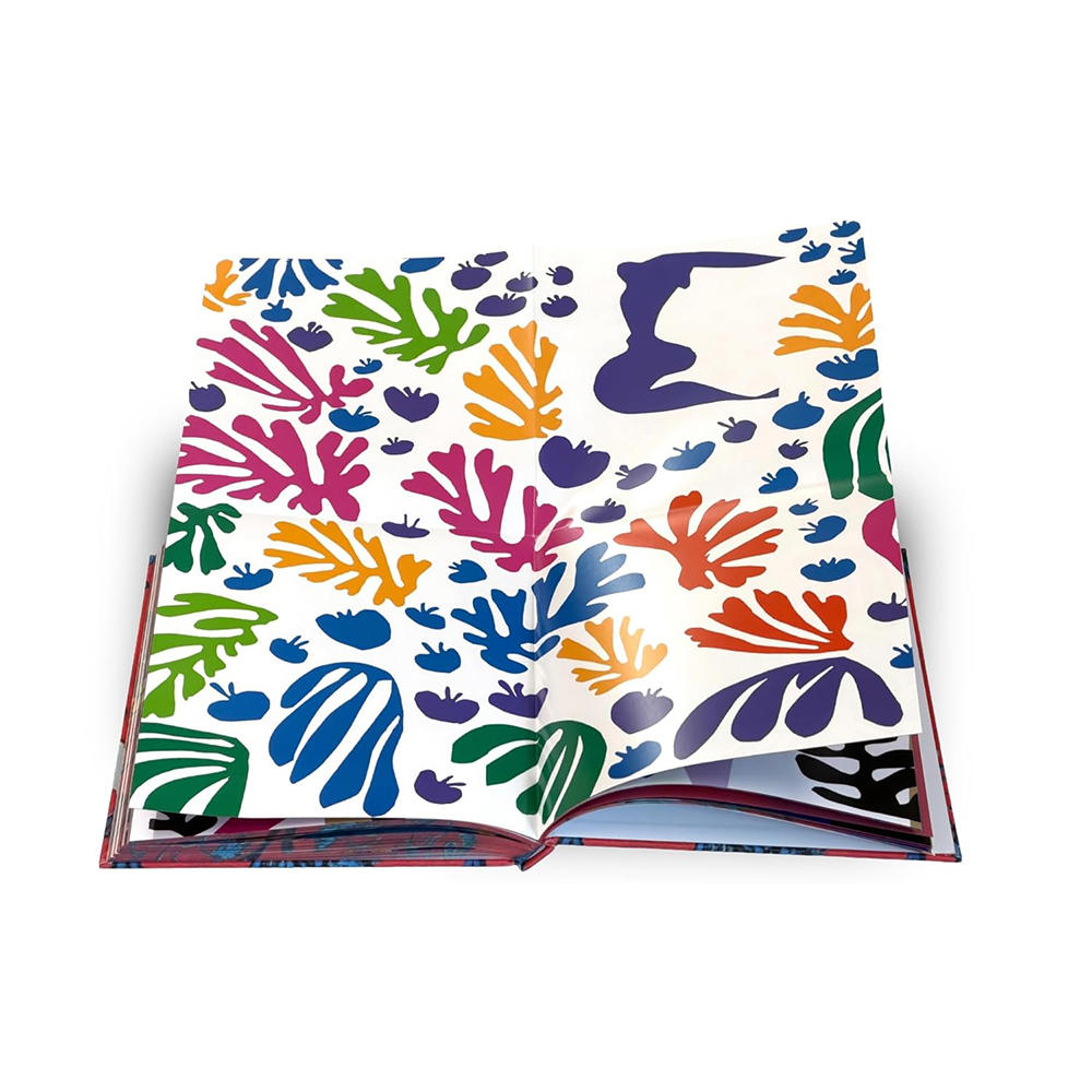 Matisse: The Bigger Picture　アンリ・マティス　作品集