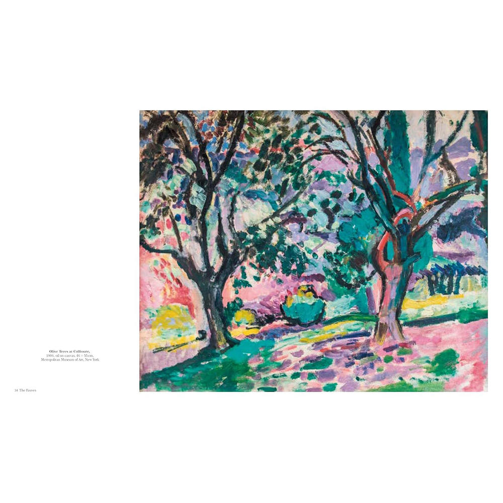 Matisse: The Bigger Picture　アンリ・マティス　作品集