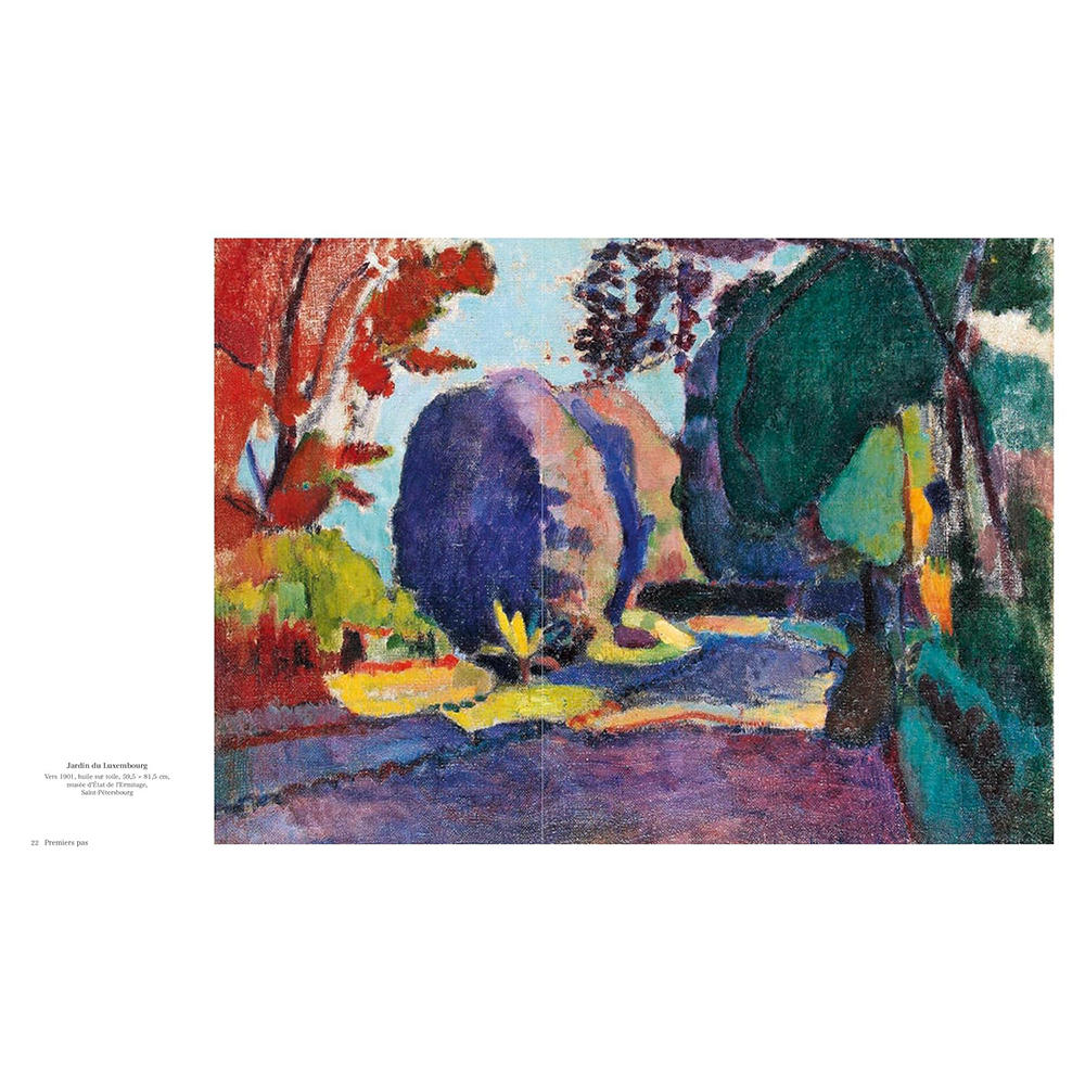 Matisse: The Bigger Picture　アンリ・マティス　作品集