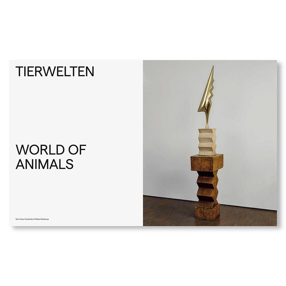 BRANCUSI by Constantin Brancusi（コンスタンティン・ブランクーシ） 作品集