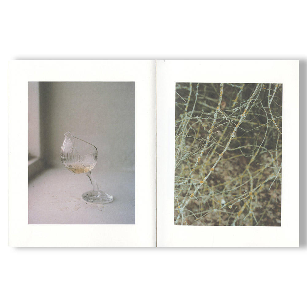 【400部限定】LIQUID by Hiroko Matsubara（松原博子） 写真集