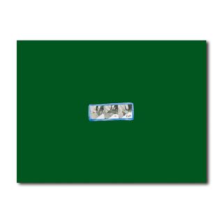 【限定750部】Thirty Cuts（ジム・ゴールドバーグ）写真集