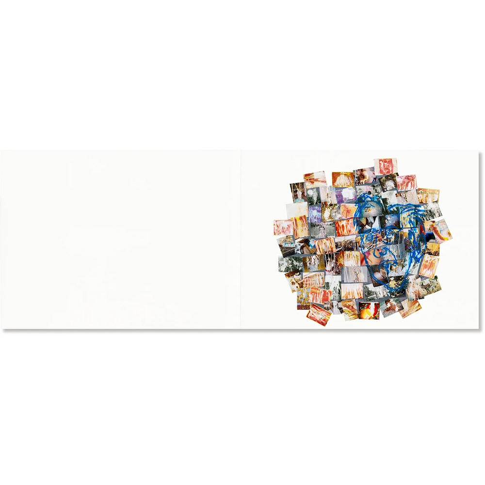 【限定750部】Thirty Cuts（ジム・ゴールドバーグ）写真集