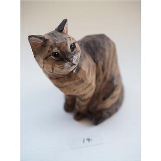 【バンナイリョウジ作品】⑭キジトラ　※6月下旬頃ご配送予定