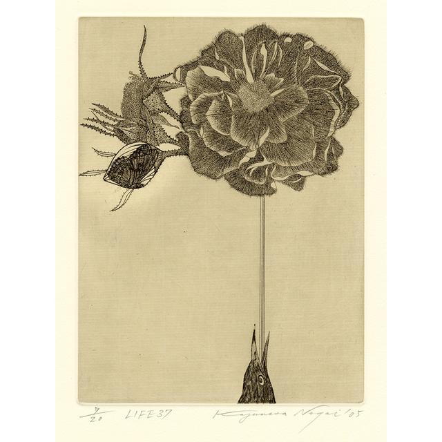 【サイン入り】永井一正 銅版画作品 「LIFE 37」