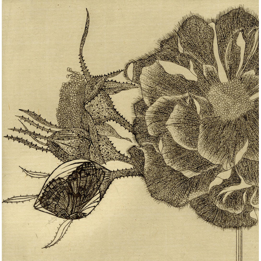 【サイン入り】永井一正 銅版画作品 「LIFE 37」