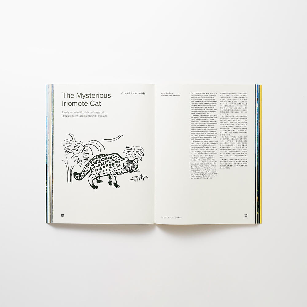 THE NEW JAPAN 01 YAEYAMA ISLANDS（八重山諸島） 雑誌