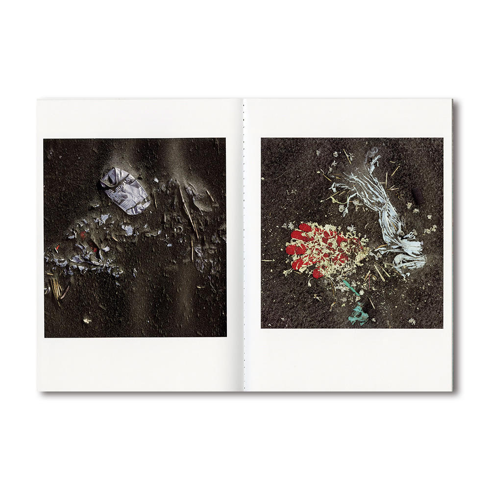 Medeia 2.0 ISSUE06　Shomei Tomatsu Plastics　東松照明 写真集