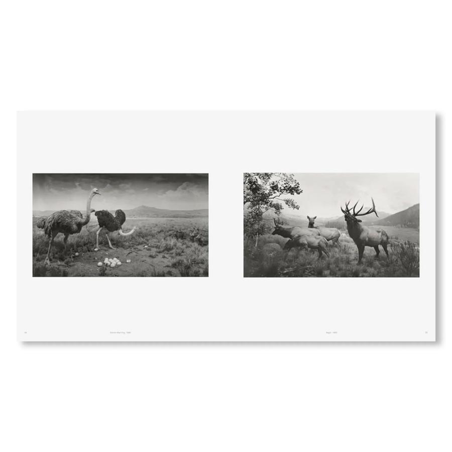 TIME MACHINE by Hiroshi Sugimoto（杉本博司） 作品集